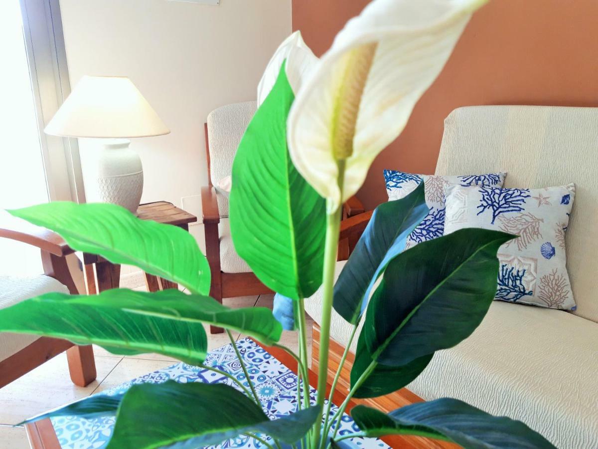 Apartamento Sedna by Sea You There Fuerteventura Cotillo Exterior foto